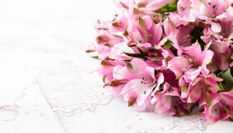 giornata del fiore