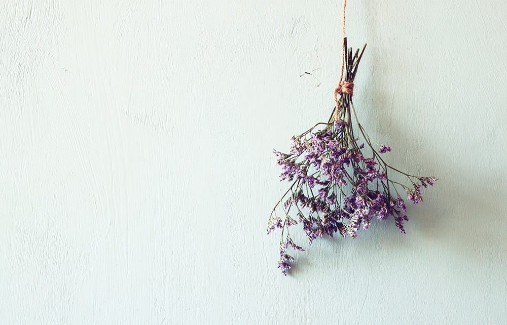 primo piano di un mazzo di fiori che vengono essiccati