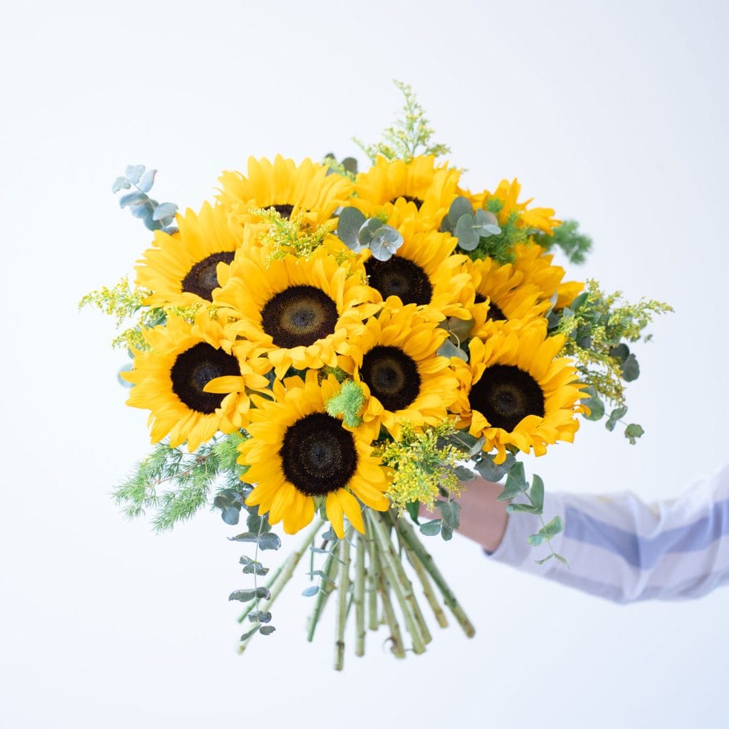Bouquet di girasoli tenuti in mano da una persona
