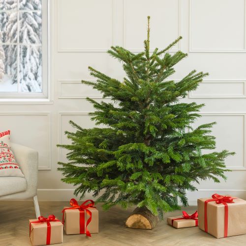 Albero di natale con regali