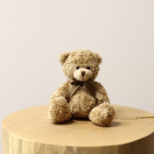 peluche per la Festa della donna