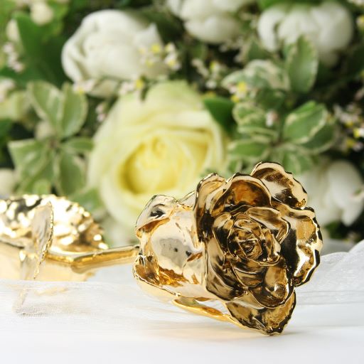 rosa d'oro