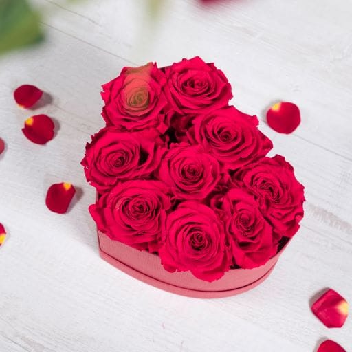 rose eterne