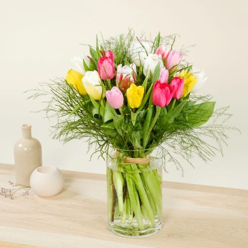 Tulipani freschi in vaso