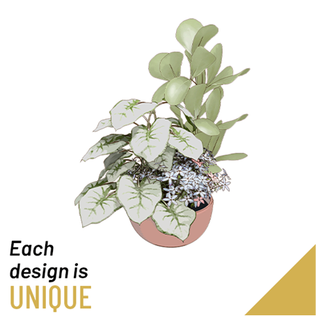 Planted Bowl-Arrangement