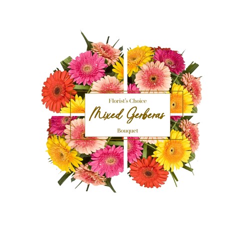 Gerberas Florist's Choice Bouquet