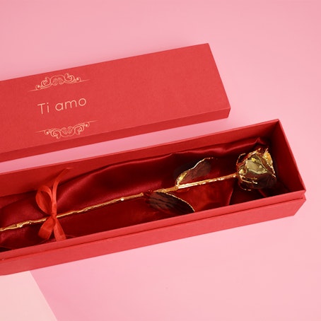 Golden Love