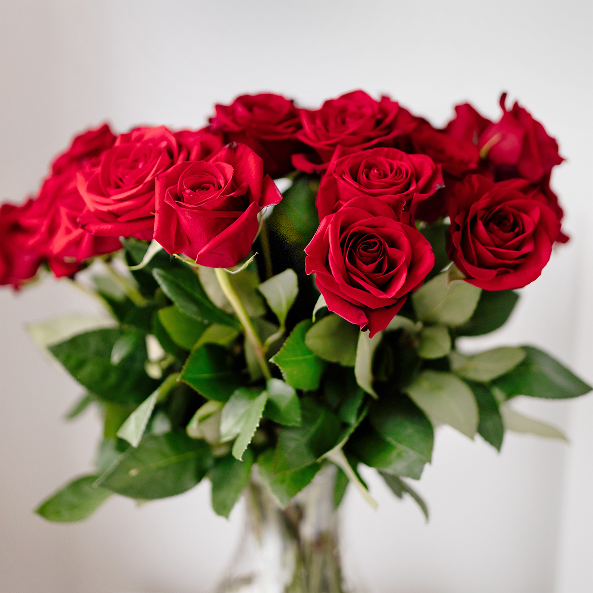 Rose Corte personalizzabili