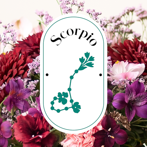 Segno del mese: Scorpione