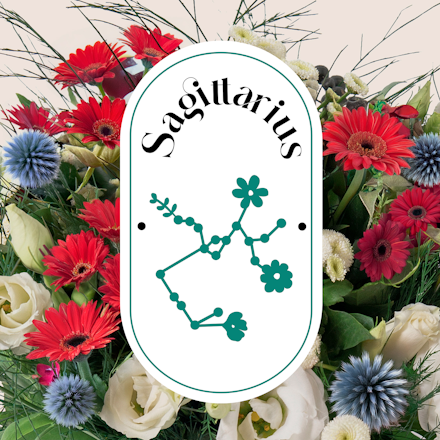 Sagittario