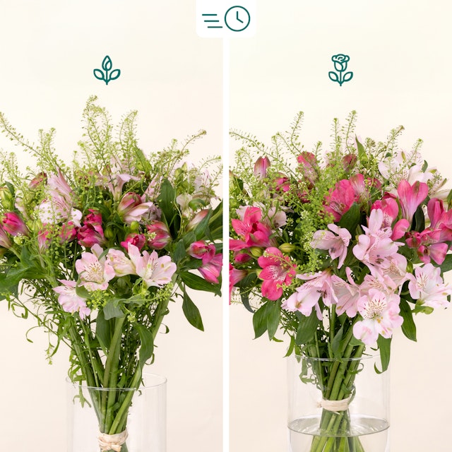 Piccolina