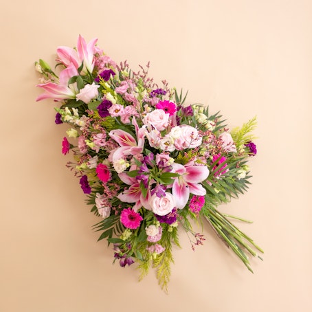 Palma Delicata Rosa