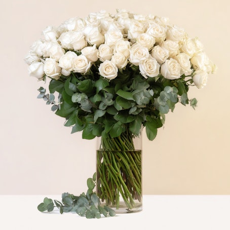 Bianco Sublime