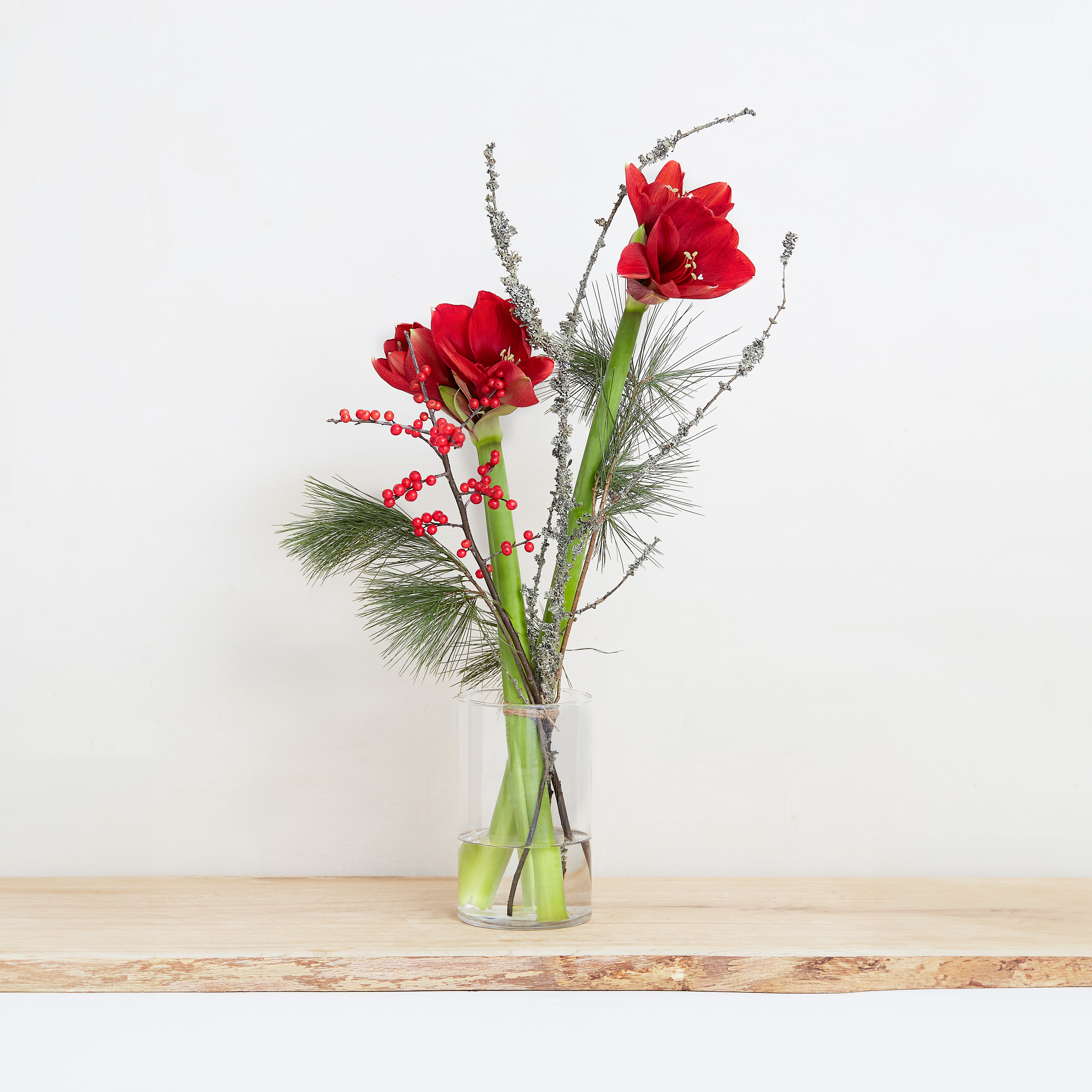 Un po' di storia sull'amaryllis