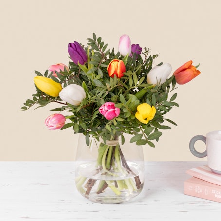 Tulipani Arcobaleno