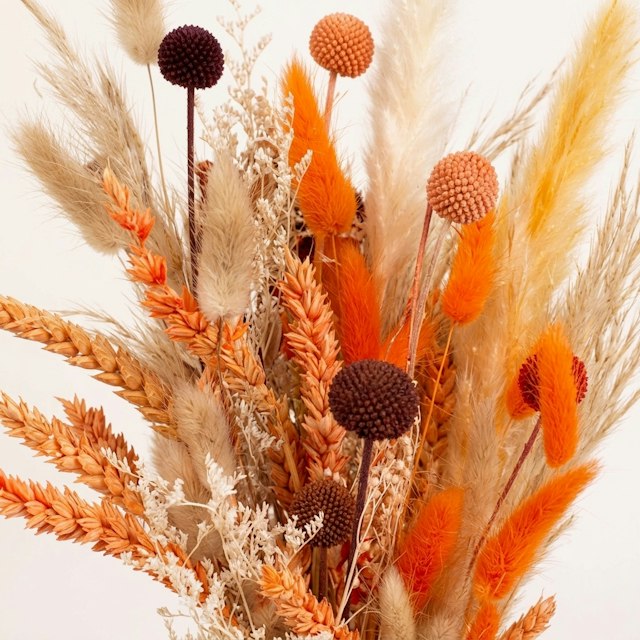 Pampas d'Autunno