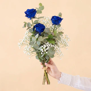 Tre rose blu