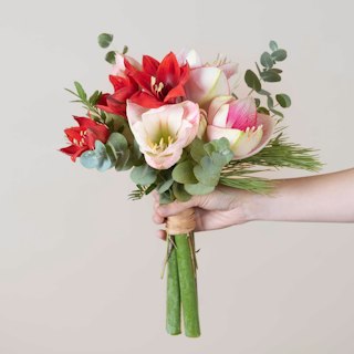 Mini Bouquet di Amaryllis